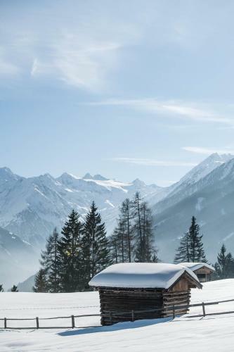 Apartamento Haus Alpenk�nig