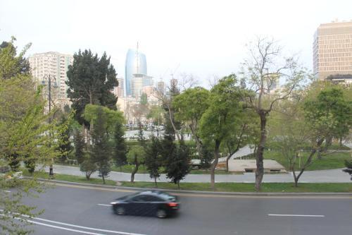 Apartment On Dilara Aliyeva 237