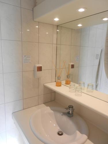 Hotel Albert 1er