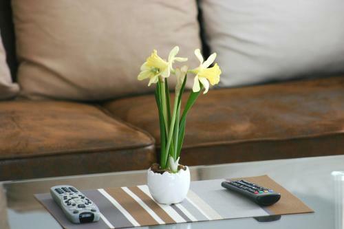 Apartamento Cityloft