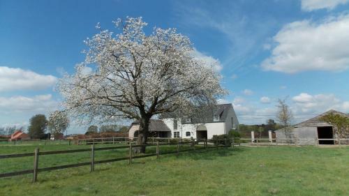 Bed & Breakfast De Weide Poort