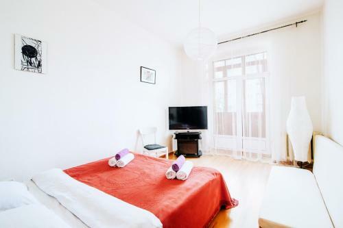 Economy Apartment Center