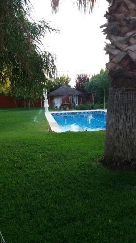 Hotel Iris