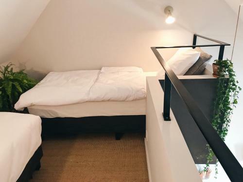 Hotel Jardin Secret