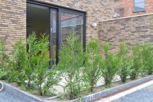 Apartamento Bed & Zorg Ypres