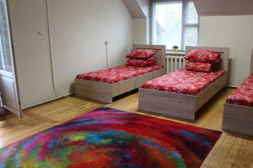 Hostal Guest House Crocus