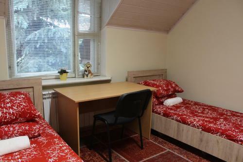 Hostal Guest House Crocus