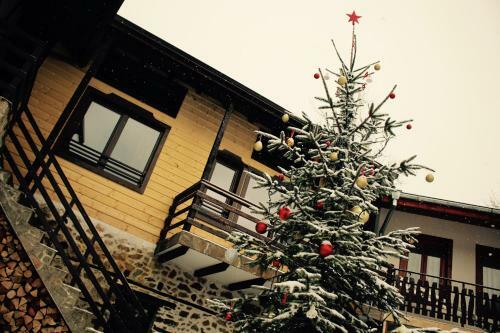 Hostal Kutsinska House