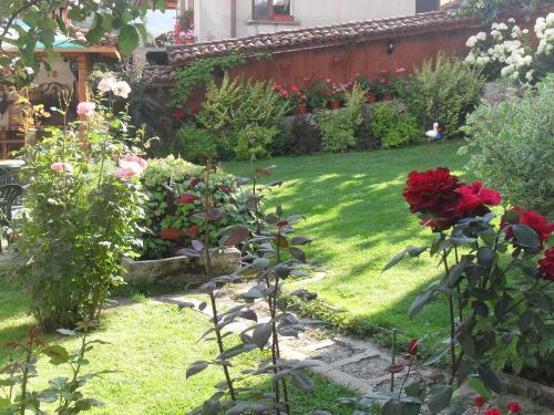 Hostal Guest House Stela