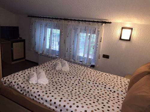 Family Hotel Ginger