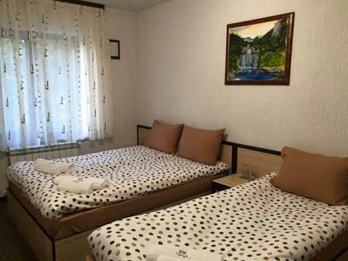 Family Hotel Ginger