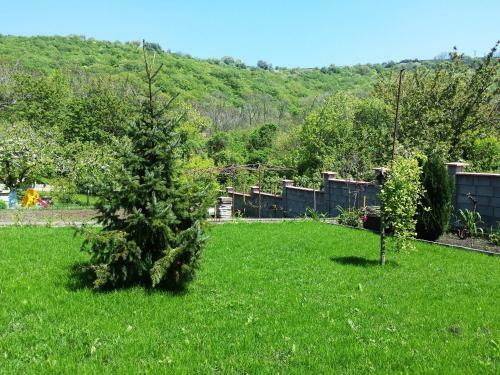 Villa Detelina Balchik