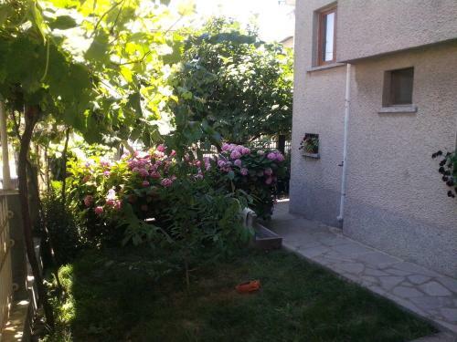 Hostal Guest House Krasi