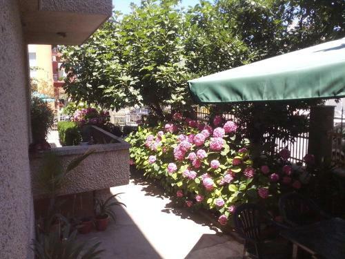 Hostal Guest House Krasi