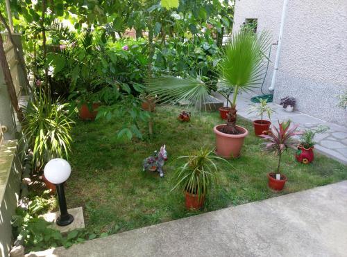 Hostal Guest House Krasi