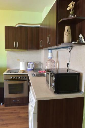 Tyulev Apartment
