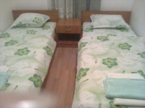 Hostal Guest House Vasilevi