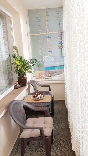 Ameli Apartment