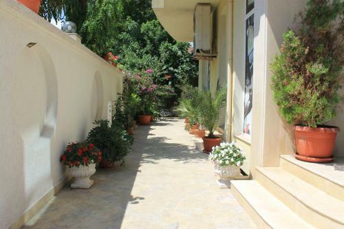 Hostal Stela Guest House