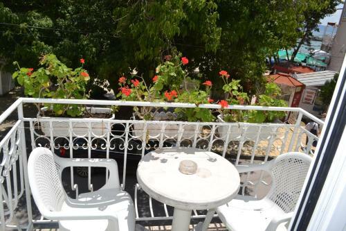 Family Hotel Magnolia