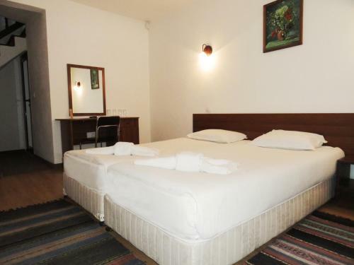 Hotel Teddy House