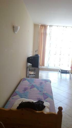 Economy Apartment In Sunset Beach 2 Complex