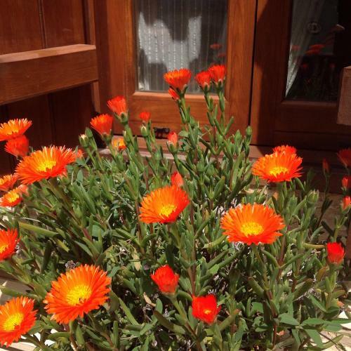 Agroturismo Vavla Rustic Retreat