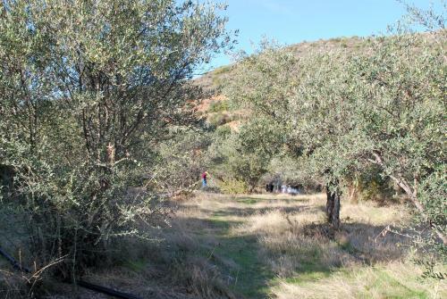 Agroturismo Vavla Rustic Retreat