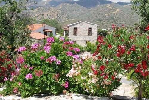 Agroturismo Vavla Rustic Retreat