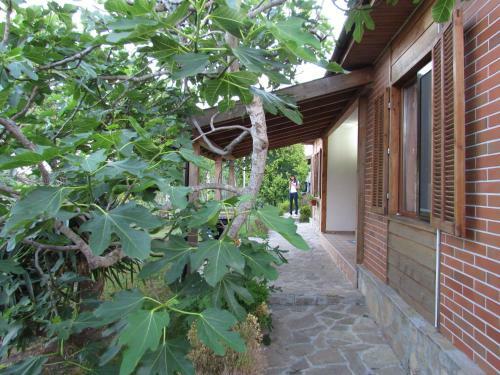 Villas And Bungalows Panorama