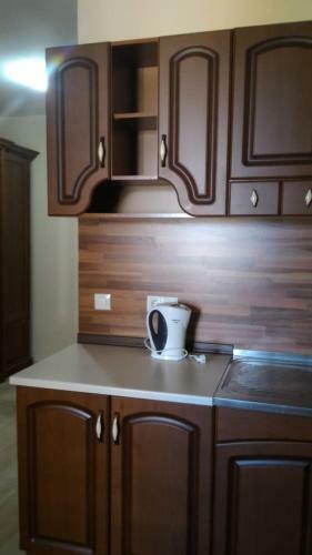 Tatyana Apartment