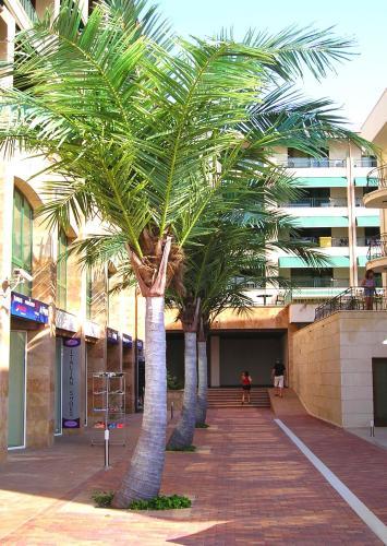 Hostal Guest House Maria