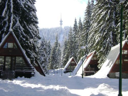 Hotel Malina Village