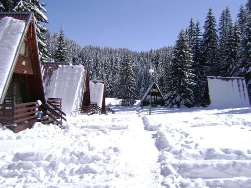 Hotel Malina Village