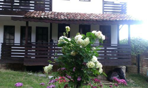 Hostal Villa Nasco