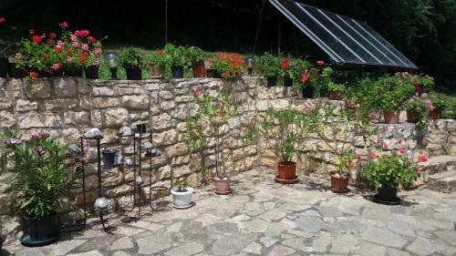 Hostal Villa Nasco
