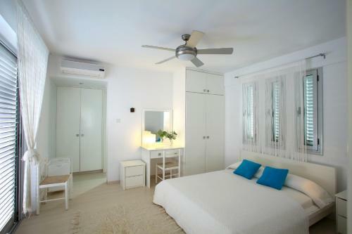 Architect's Villa