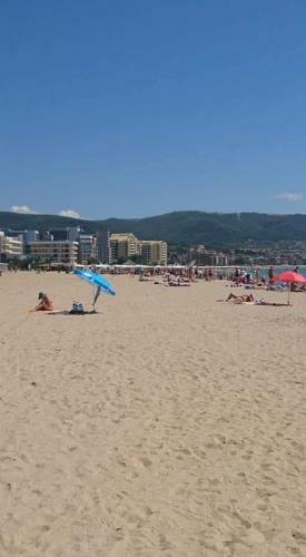 Family Apartments In Solmarin