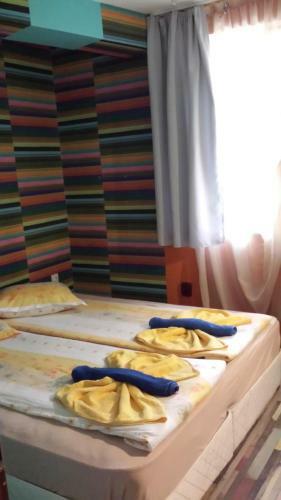 Hostal Guest House Markovi