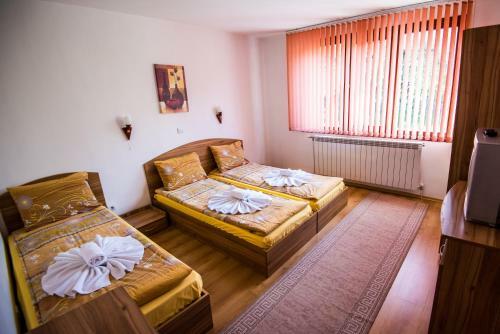 Hostal Vien Guest House