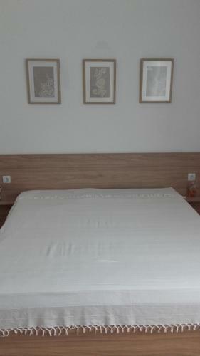 Hostal Guest House Lily