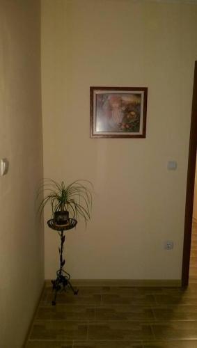 Hostal Guest House Elena