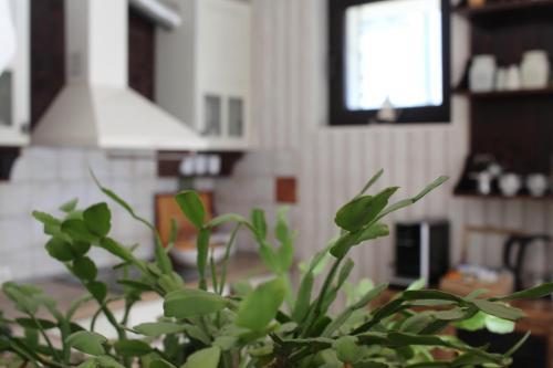Hostal Guest House St. Mina
