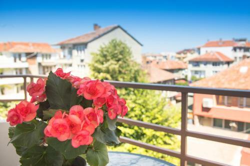 Hostal Atavel Guest House