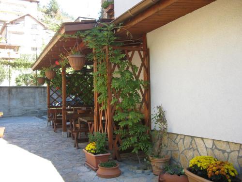 Family Hotel Veronika