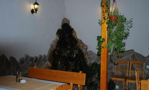 Hostal Guest House Lazur