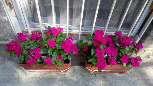 Hostal Best Rest Guest House