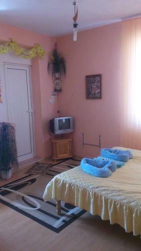 Hostal Edelvays House
