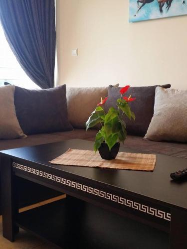 Kaya House Apartment 8