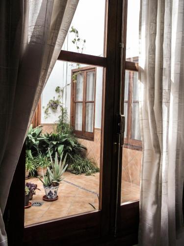 Hostal Pensi�n Ciudad Navarro Ramos